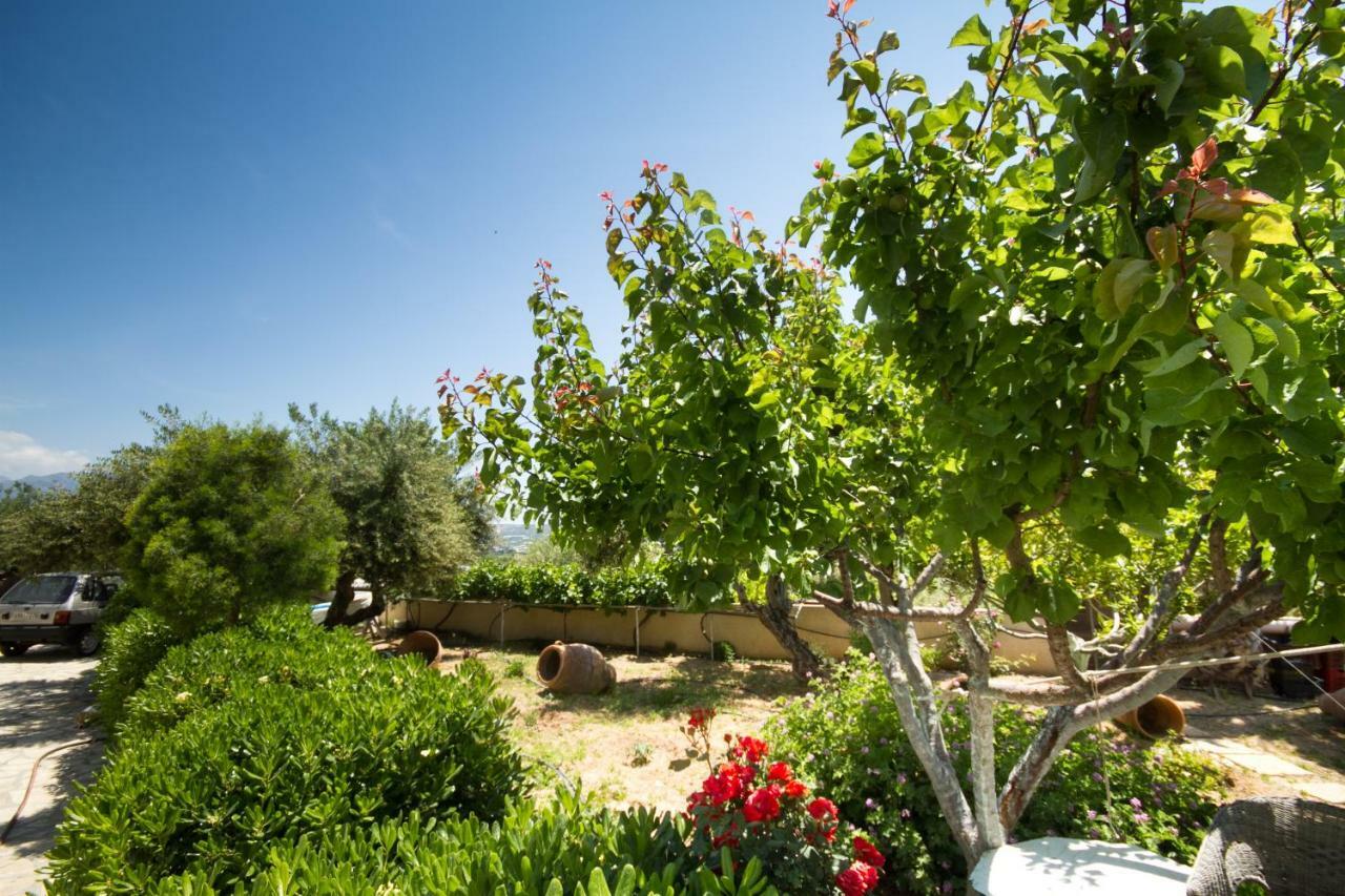 Smaragdas Sunny Home Ierapetra  Exterior photo